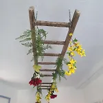 Infresh House