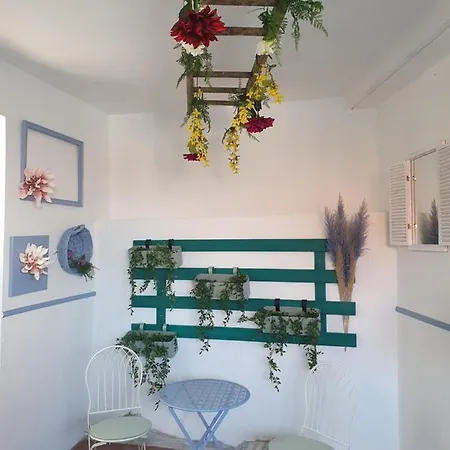 Infresh House シベニク