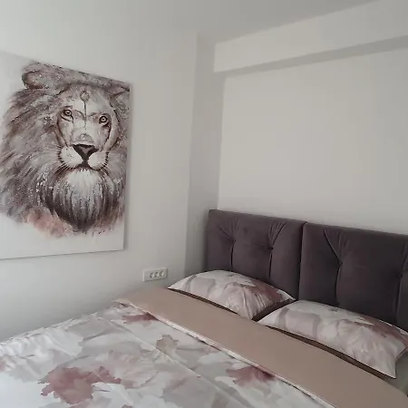 Infresh House シベニク